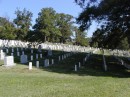 Arlington National Cemetary