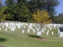 Arlington National Cemetary