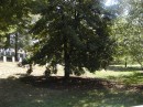 Arlington National Cemetary