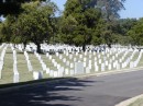 Arlington National Cemetary